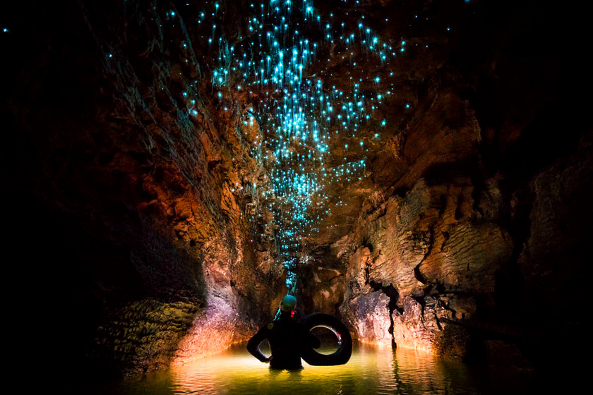 Az egyik leggyönyörűbb fénybarlang a világon: aprócska lények világítják meg