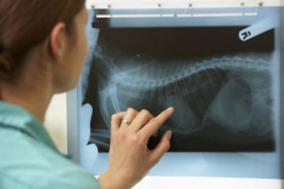 Ebbe bármelyik orvos belepirulna: az 5 legdurvább röntgenfelvétel, amit valaha láttunk
