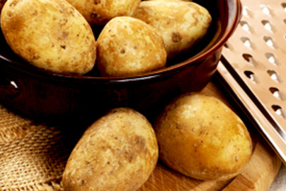 krumpli praktika lead