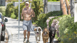 Jerry O'Connell már kisebb kutyafalkával jár futni