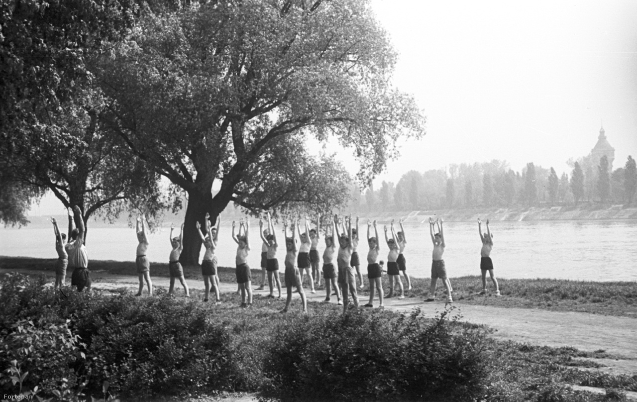 Újlaki (ma Schlachta Margit) rakpart, 1956
                        Az ötvenes évek minimál tornaszerelésében, vagyis egyetlen fekete rövidnadrágban folyik a testgyakorlás az Újlaki rakparton. A tornatanár kivétel, neki ing és margitszigeti panoráma is jár.