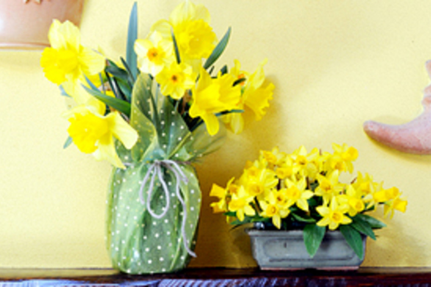 Virágtenger az asztalra: gyönyörű tavaszi csokrok