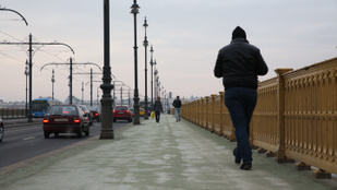 Agressziókezelési tréningre kell járniuk a Margit hídon késelő fiataloknak