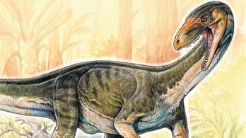 Négy lábon jártak a dinoszauruszok ősei