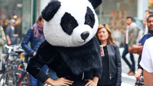 Emily Ratajkowski váratlanul pandává változott