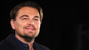 Végre Leonardo DiCaprio is megtudhatta, milyen néven keresne milliókat sztripperként