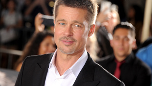 Brad Pitt rehabon kötött ki a szétválás után