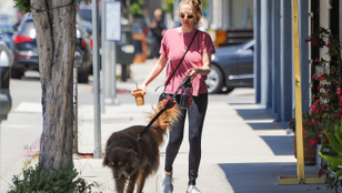 Egy szép napon Amanda Seyfried melltartó nélkül ment kutyát sétáltatni