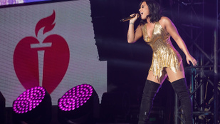 Demi Lovato elég durván utasította vissza egy rajongóját