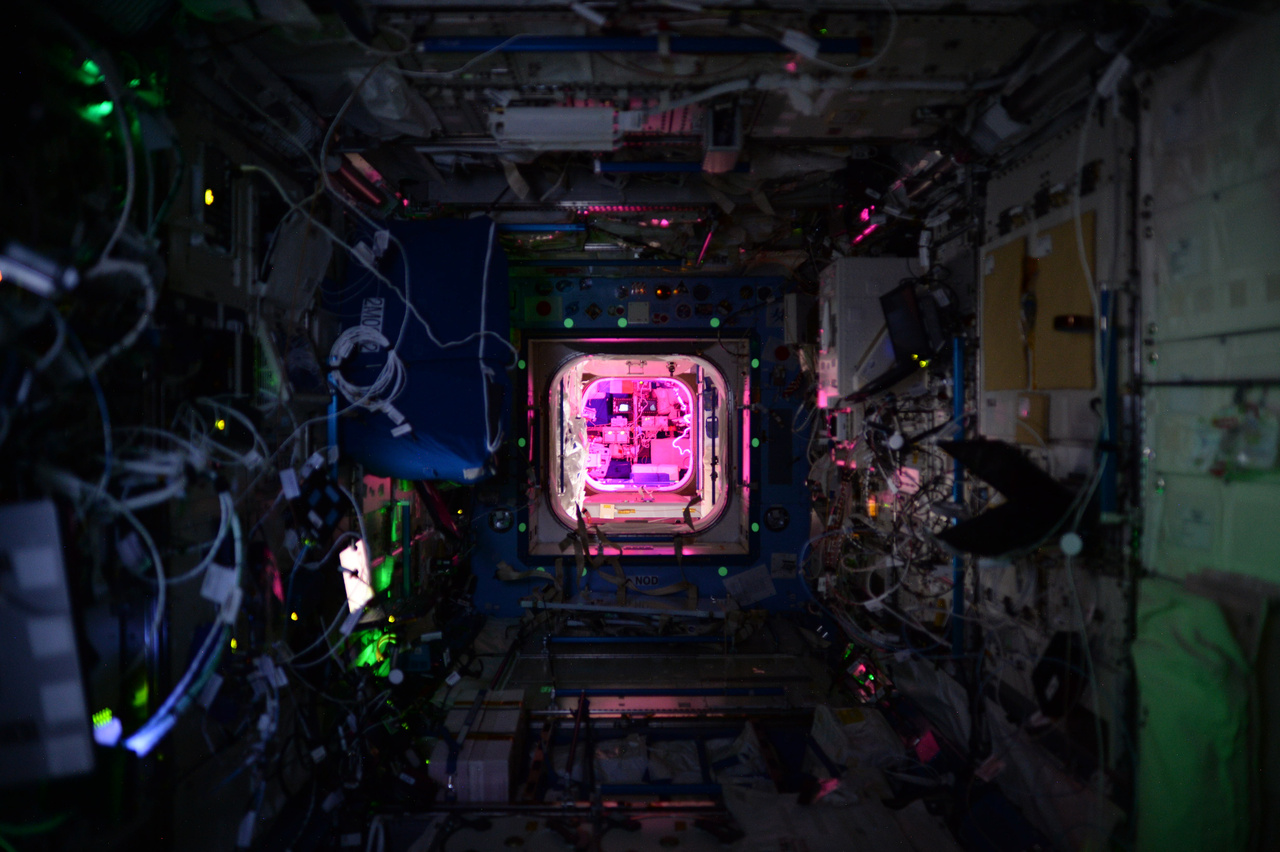Éjszaka az űrállomáson. A rózsaszín fény a növények növekedéséhez szükséges.
