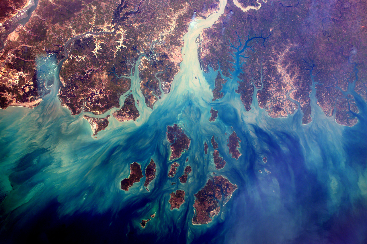 A szenegáli Szalum-folyó deltája.