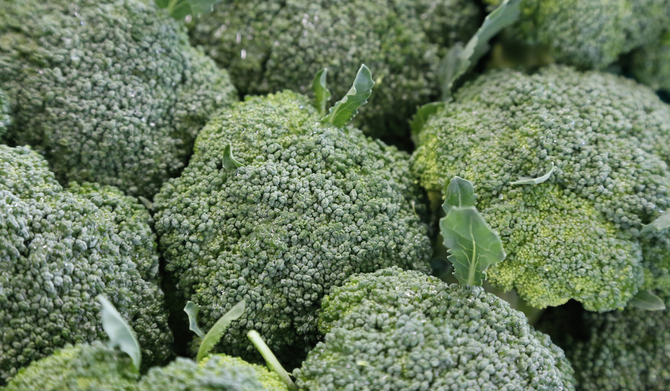 a brokkoli segíthet a fogyásban
