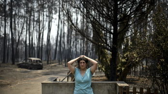 Erdőtűz Portugáliában: 62 halott, és sok súlyos sérült