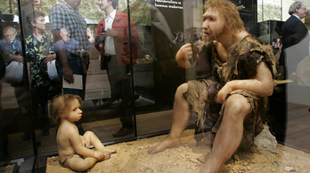 Elveszett törzsekről mesél a neandervölgyiek DNS-e