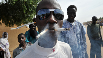 A cigarettagyártók háborút vívnak az afrikai bagósokért