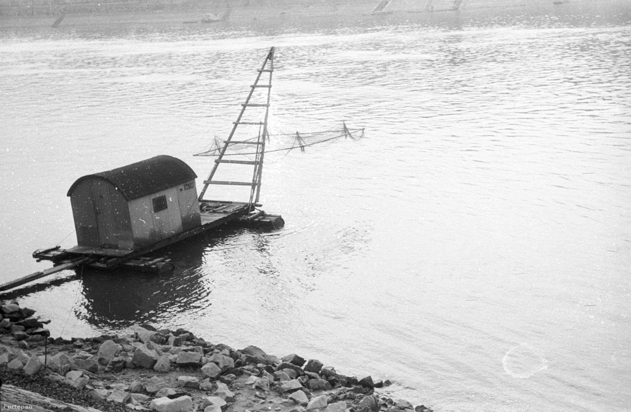 Úszóház és tápli a Margit-sziget budai oldalán 1942-ben. A sajátos halászmódszert űzők még nem szorultak ki a Kopaszi-gátra és a Népszigetre.