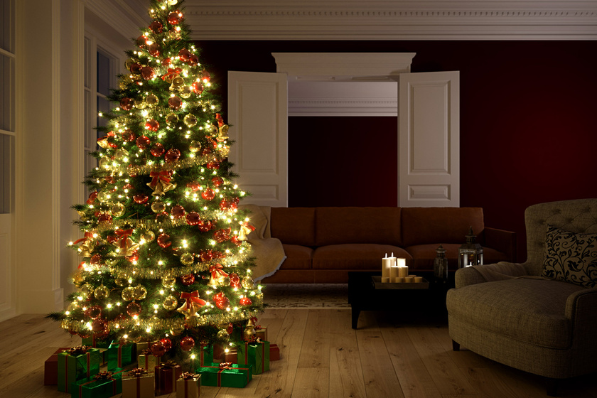 Tökéletes karácsonyfa: ezen a 4 dolgon múlik