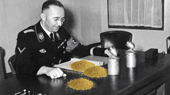Koncentrációs táborban gyártott volna homokból aranyat a nácik alkimistája