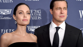 170 millió forint kifizetésére ítéle a bíróság a Pitt-Jolie házaspárt