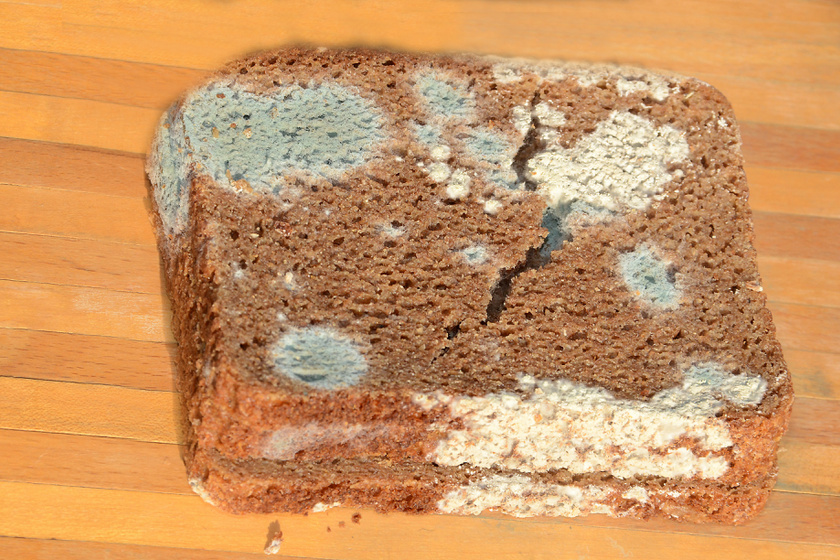 Kockacukorral a penész ellen: megóvhatod vele a kenyeret és a kenyértartót