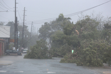 Kidőlt fák Fajardo utcái. Puerto Ricónál tombol már a rendkívül heves, 5-ös erősségű, Florida felé tartó Irma hurrikán.