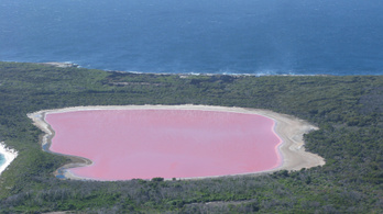 A rózsaszín tó rejtélye