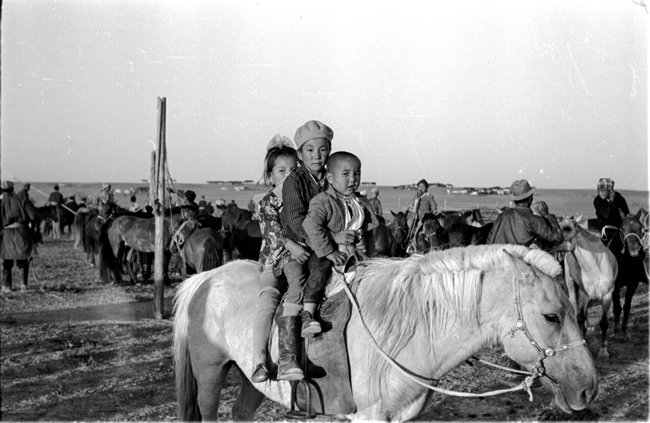 Félvad lovak befogása. A ló több, mint egyszerű haszonállat, a ló minden, a mongolok lelkierejének, virágzásának is kifejezője. Ha így van, a szocializmusban különösen kitartó lovakra volt szükség: az itteni sztálinista terror alatt 1937-38-ban ezer kolostort és más buddhista szent helyet romboltak le, a hagyományos szellemi vezetőket, befolyásos lámákat legyilkolták.