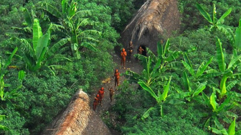 A világtól elzárt indiánokat mészároltak le az aranyásók Brazíliában