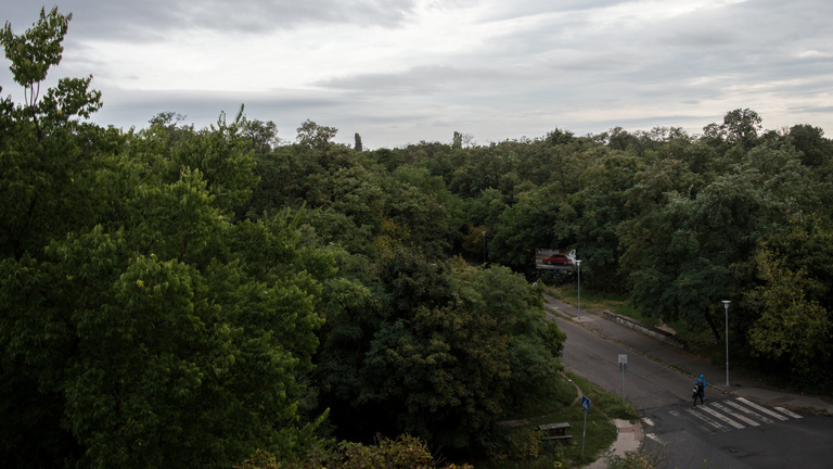 Autópálya lehet a budapesti kiserdő helyén