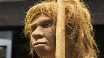A neandervölgyi agya lassabban fejlődött, mint a Homo sapiensé