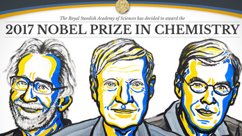 Fehérjéket vizsgáló mikroszkópért járt a kémiai Nobel