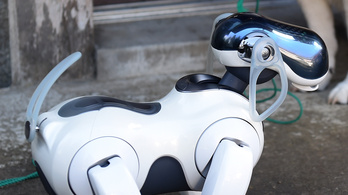 Visszatér Aibo, a Sony robotkutyája