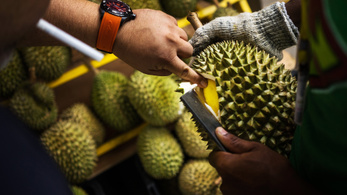 Rájöttek, miért olyan rohadt büdös a durián