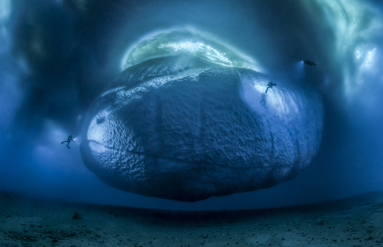 Jégszörnyeteg - egy csapat búvár vizsgál egy vízalatti jéghegyet az Antarktisz jeges vizében.&nbsp;