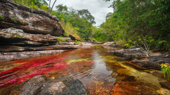 Szivárványszínű a világ legszebb folyója