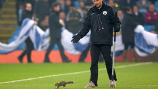 Beállt focizni egy mókus a Manchester City meccsén