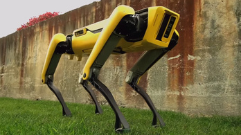Elegáns és rémisztő az új bostoni robotkutya