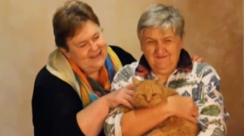 Hollandiából tért haza Rudi, a világjáró macska