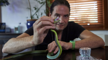 Dán tudósok vizsgálják Steve Ludwin rockzenészt, aki 25 éve lövi magát kígyóméreggel