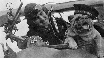 A második világháborúban ejtőernyős kutyákat is bevetettek