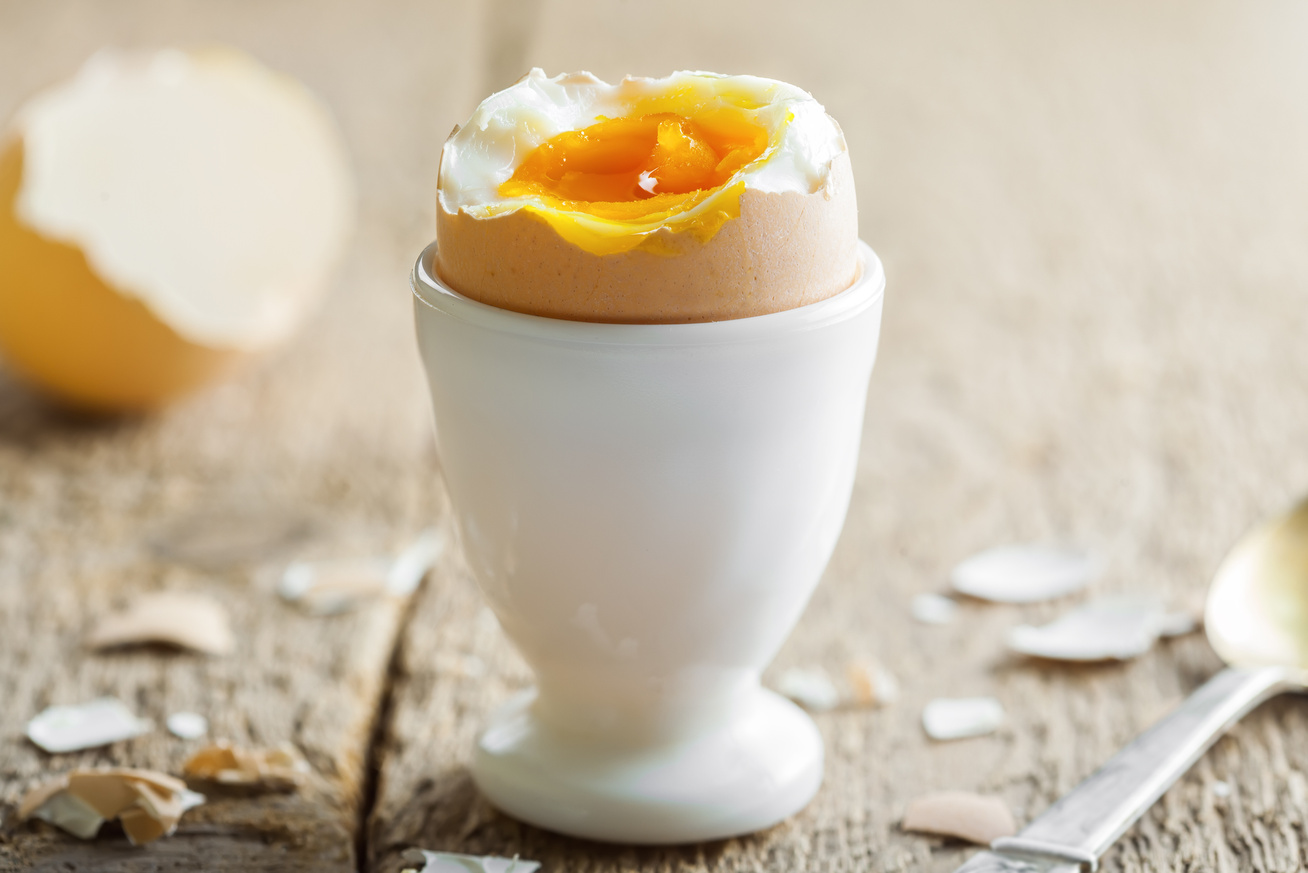 hány kerekférges tojás él gyomorfájás reggel rossz lehelet