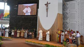 Ferenc pápa követeli, hogy szüntessék be az esőerdők kizsákmányolását