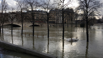 Patkányok futkosnak Párizs utcáin az árvízveszély miatt