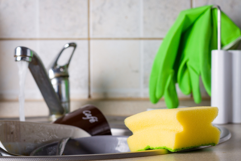 Tele van baktériumokkal a mosogatószivacs: a 3 legbiztosabb módszer a tisztításra