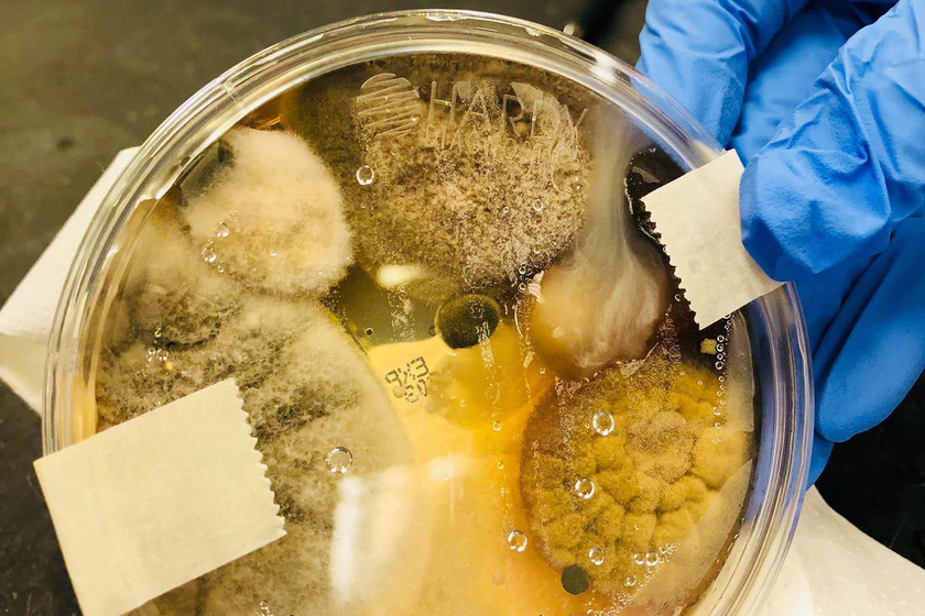Visszataszító képet posztolt az ápoló: a kézszárítókban vizsgálta a baktériumokat