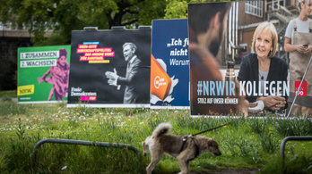 Egy kutyát is felvettek a Német Szociáldemokrata Párt tagjai közé