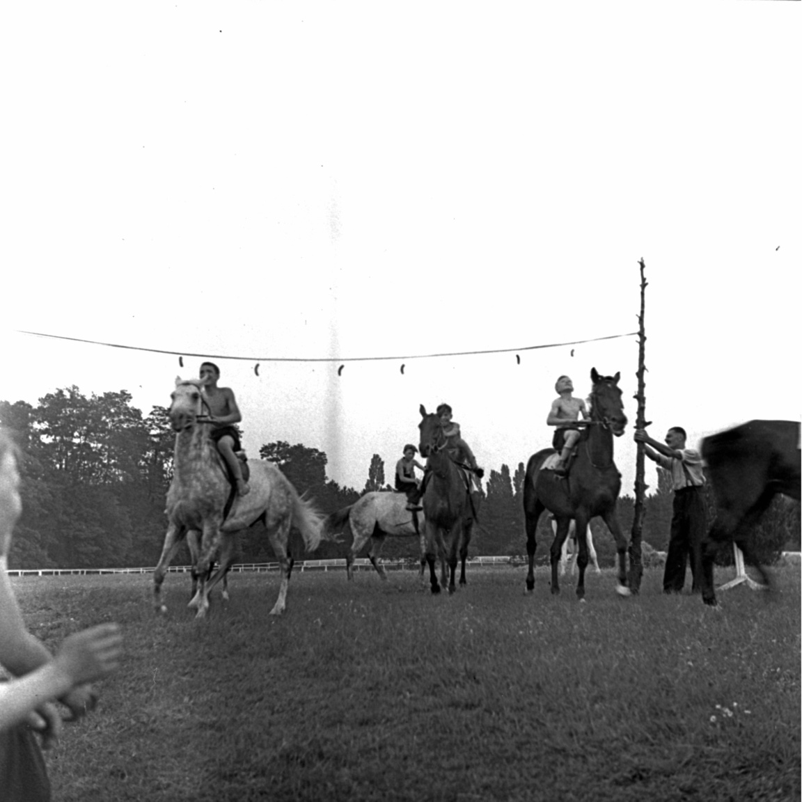 Azért Petanovits sem ment a szomszédba egy kis trükközésért. Az 1933-as Nemzeti és Hazafi DÍj után fújolással tüntettek ellene a fogadők. A háromévesek versenyében az első két helyet Petanovits lovai vitték el. Végrehajtó nyert Fokos előtt. Utóbbi volt a favorit, ezért rengetegen tettek rá pénzt. A fogadók úgy érezték átverték őket, Petanovits belenyúlt a versenybe. Főleg azután, hogy az előző évben Végrehajtóról terjedt el, hogy jobb, aztán a fontos versenyeket Fokos nyerte. A nagyot kaszáló bukmékerek azért tudtak örülni Petanovits ilyen sikereinek is.