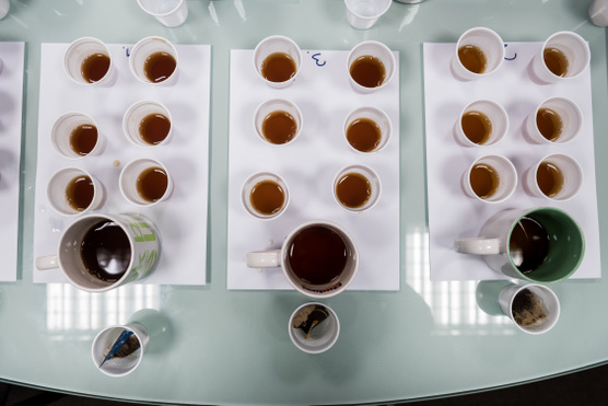 Teszt: melyik a legfinomabb fekete tea?