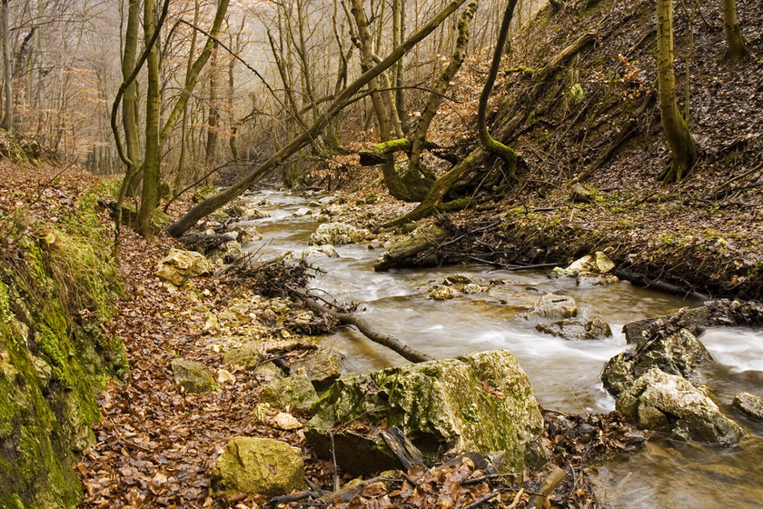 Hova indulj kirándulni tavasszal? 5 magyar völgy és ösvény, ami ilyenkor már gyönyörű