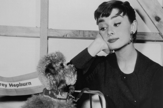 7 érdekesség, amit nem tudtál Audrey Hepburnről